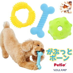    Ԃƃ{[ v  yeBI wX vO Ԃƃ{[ V f^K ^ ^ v[g ObY Ev