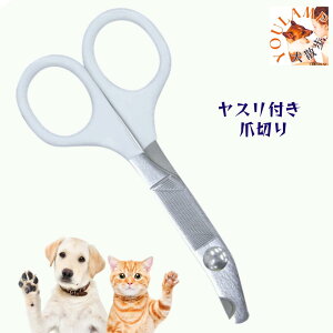  ܐ؂  E`EN`[ ߐ؂ Xt ^ ^ L lC  S ybgpi L v[g ObY OC-23