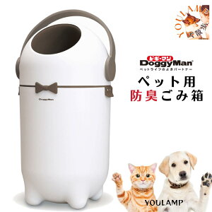  gC S~  L ybgp hLݔ ybg̖hL LȂ BOX PACKUN  gCpi h~ v[g ObY Ev