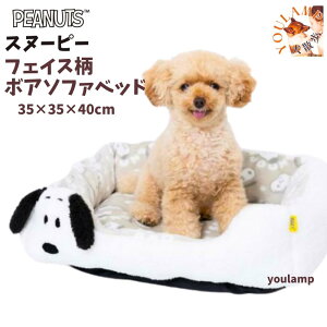  ybgp xbg H~ Xk[s[tFCX{A\t@xbh Q   Ev