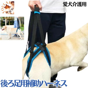 둫p s⏕n[lX V p ybgp \tgn[lX p s⏕ T|[gn[lX  VjA ^ ^ L v[g ObY Ev