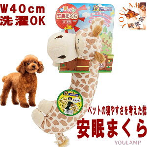   Aj}܂ L hM[} ybgpi ܂ NbV 􂦂 v[g ObY Ev