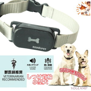    g[jO ʖi ^ m[o[N J[ STCY v[g ObY Ev