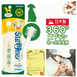  uV 360°RpNg roebN VO p ^ ^ ݂ LPAy[֑Ήz v[g ObY Ev