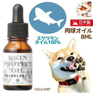   PA ی XNIC100 veNgIC Y 8ml  N[ ObhXLfCY XL ybgppi v[g ObY Ev