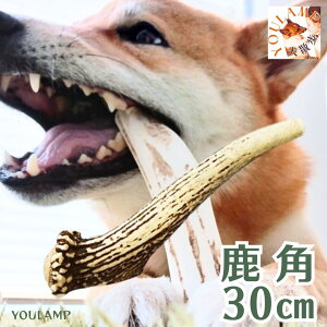   ̍ ^ ߋ p xj\Ag[ M VRf v[g ObY Ev