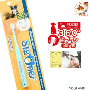  uV 360° VO roebN s qp qpuV ݂ oPA C L v[g ObY Ev