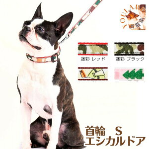   yeBI TCY  4fUC EthicalDoor GVJhA S V[Y[|LoA|pO ^p Rېn  Petio v[g ObY [h Ev