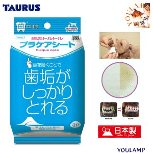  ݂ V[g Cgg vPAV[g 30 g[X ܔz ݂͂ L Ă̂ڂɌ xmR̐ }bT[W v[g ObY Ev