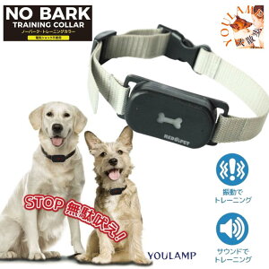   ʖi  ^ m[o[N J[ LTCY v[g ObY Ev 傫TCY