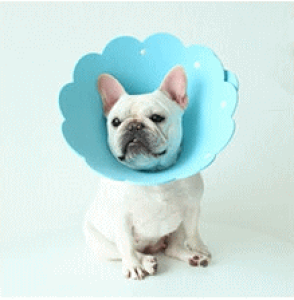 y |bL1000~z GJ O GUxXJ[  Ck L lR y  \tg XgXy rߖh~ ybgp\tgGUxXJ[ v[g ObY E