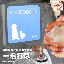 犬 ペット 抜け毛掃除 送料無料 一毛打尽 ソファ・カーシート用 繰り返し使用可 父の日 ギフト