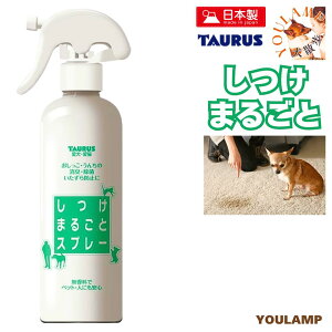   ܂邲 300ml  P  gC g[jO H L  ybgpi ߂ČL g[X