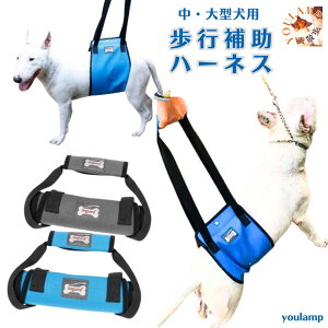 ybgp s⏕n[lX  tgn[lX VjAp pi  V 㑫 nr Q T|[g gC̕⏕ u[ O[ V  [h pi ԏ悹/oR/Up