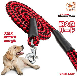  [h ^ ^ v  hM[}nV U[h 19mm Dꂽx ϋv ۑgR[h