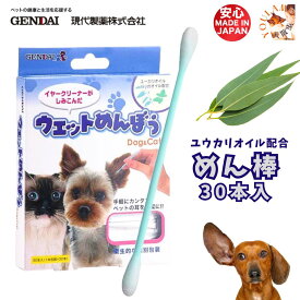 犬 綿棒 ウエット めんぼう 30本入 送料無料 日本製 ユーカリオイル ハッカオイル配合 耳お手入れ ペット用 現代製薬