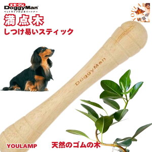     ? Ղ _ XeBbN ~j STCY hM[}nV ̐ς h~