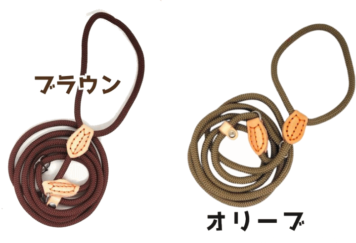 楽天市場】2回に1回、タダになるかも！ 送料無料 ポッキリ1000円 犬