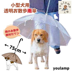  P [h  J U pP 75cm [h ybg ^ ^ J   J JP Au ybgpJ hbO CObY