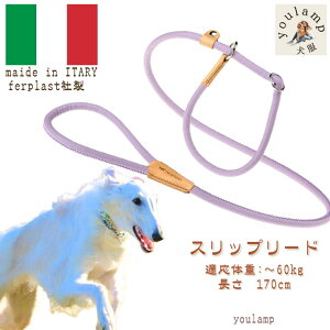  [h C^[ n[t`[N [h Xbv[h {v  [h ̌^ 170cm v ^ ^ ^ 