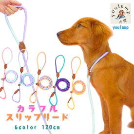 カラフル スリップリード 10mm 犬 首輪 付き リード 丈夫 小型犬 中型犬 大型犬 おしゃれ ロープ パラコード しつけ ストッパー犬リード ユウランプ フルチョーク 犬 しつけ 首輪 ハーフチョーク 大きい ギフト