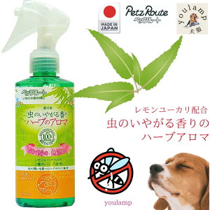  悯 Xv[ ̂₪A} 150ml ybc[g { 100VRRȂ߂ĂSeOK[J3n[ugp