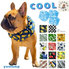 犬 夏 クールバンド 保冷剤5個 犬 服 COOL クールバンダナ クールネック ネッククーラー 犬用 猫用 対策 首 ひんやり 冷却 首冷やすスカーフ 小型犬 中型犬 大型犬 かわいい 散歩 唐草 男の子 女の子 ペット 犬 散歩 涼しい 熱中症 犬 かわいいの服