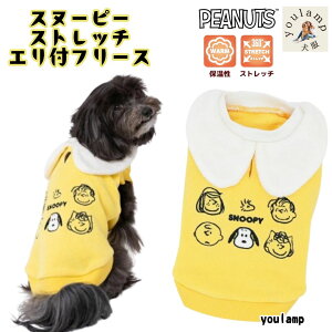    H~ Xk[s[ t[X EGA tY g U Xgb` [hL ݕt ^ ` AE^[ Ɨp