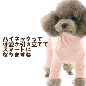   H~  Vv p[X Jo[I[ ^ n pW} t[X g N