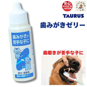 �� �n�~�K�L ������ �H��̎��݂��� �[���[ ������ ������ ���Ȏq �����ɐ��炷 �L�y�b�g�p �݂͂��� �t�� �������ƂȂ� �������W�F��