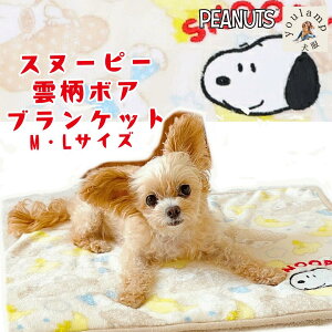  uPbg H~  ѕz Xk[s[ _ {A uPbg M LTCY p Lp h ΍  \ g ӂӂ