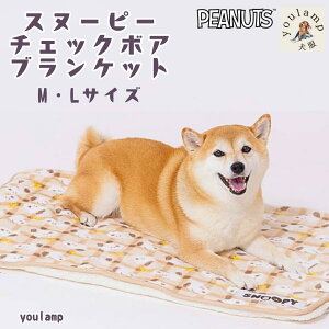  uPbg H~  ѕz Xk[s[ `FbN {A uPbg M LTCY p Lp h ΍  \ g ӂӂ