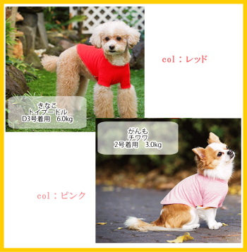 犬服コットンTシャツ綿100%verynewドッグウェアgiftbox入り