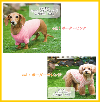 犬服コットンTシャツ綿100%verynewドッグウェアgiftbox入り
