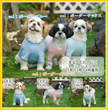 犬服コットンTシャツ綿100%verynewドッグウェアgiftbox入り