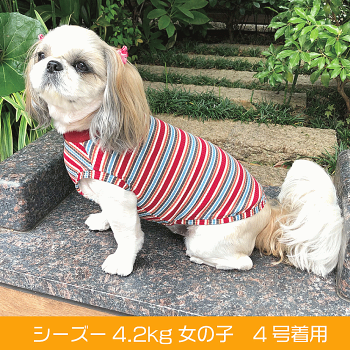 犬服小型犬犬服秋冬veryリブニットタンクトップ2020かわいいドッグウェアペット【あす楽対応】