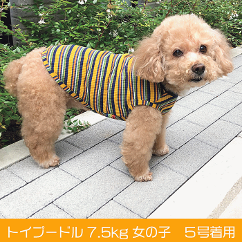 犬服小型犬犬服秋冬veryリブニットタンクトップ2020かわいいドッグウェアペット【あす楽対応】