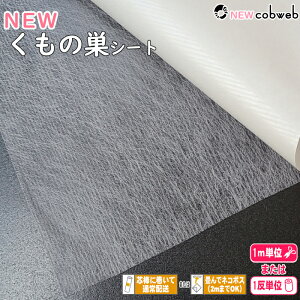 NEW̑V[giACʐڒAtjunew-cobwebv