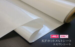 KFzbggV[giACʐڒAʔtj