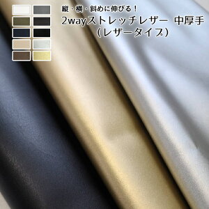 NEW 2wayXgb`U[ iU[^Cvj Lт鍇 S10F