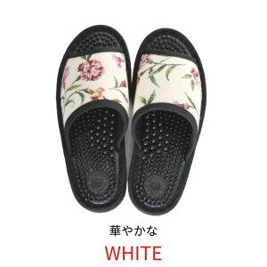 { NT_ fB[X 􂦂  }bT[W y܂ ꂢ ԕ S M 22cm 23cm 23.5cm si p v[gp 킢  p v[g Xbp C{C{ 