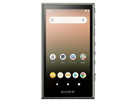 【ポイント10倍】 SONY MP3プレーヤー NW-A105 (G) [16GB アッシュグリーン] [記憶媒体：内蔵メモリ/microSDカード 記憶容量：16GB 再生時間：26時間 インターフェイス：USB2.0 Type-C] 【P10倍】