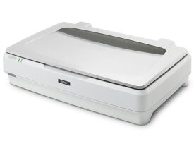 【ポイント10倍】 EPSON スキャナ DS-G30000 [タイプ：フラットベッド 原稿サイズ：A3/A4] 【P10倍】