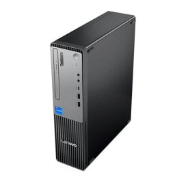 【ポイント10倍】 Lenovo デスクトップパソコン ThinkCentre neo 30s Small Gen 5 13DGS00000 【P10倍】