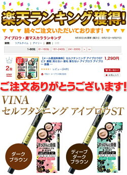 【メール便送料無料】セルフタンニングアイブロウSTビナ薬粧消えない眉毛落ちないアイブロウアイブロー眉墨眉マスカラVina