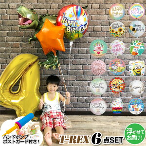 a t o[ wE KX   TbNX 6_ Zbg 2 3 4 1 j̎q D eBmUEX eB[bNX T-REX Ă͂ s regalo