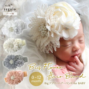 xr[ wAoh V Ԃ t[ j[{[tHg  oYj  wbhoh {Q H 100 a  킢  L ybg Bigt[wAoh fo