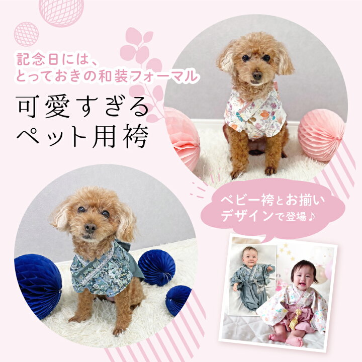 楽天市場】ペット用袴 犬 犬服 小型犬 袴 M ペット用 晴れ着 くすみ 