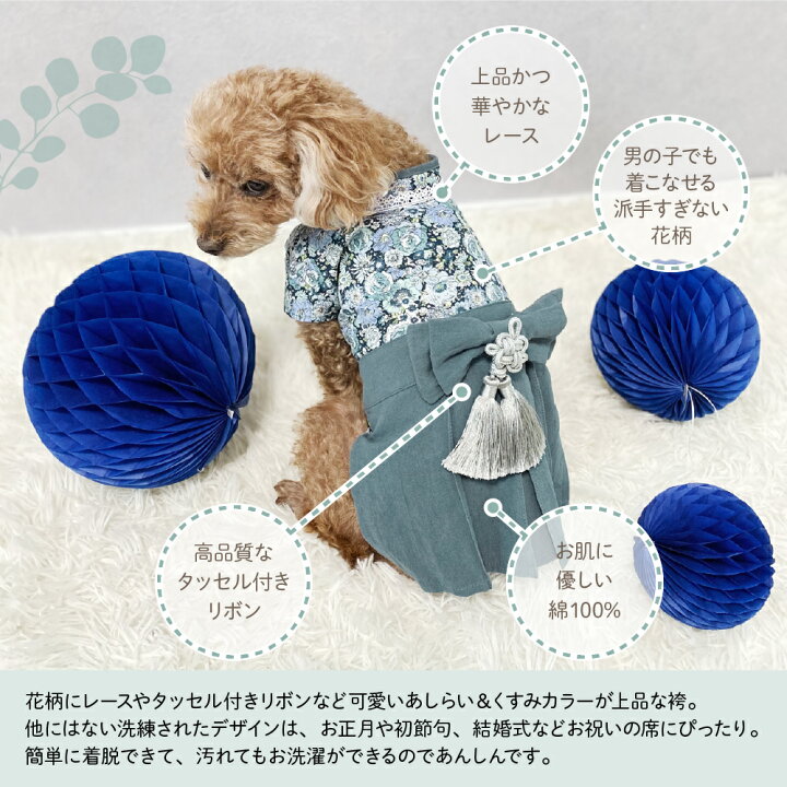 楽天市場 ペット用袴 犬 犬服 小型犬 袴 M ペット用 晴れ着 くすみカラー コットン 綿100 フォーマル 和装 和服 着物 服 コスチューム 春 夏 秋 冬 記念日 お正月 初詣 初節句 ひな祭り お宮参り 結婚式 花柄 Ycp Regalo