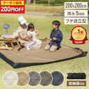 200円OFFクーポン配布★16日1:59迄 レジャーシート 厚手 大判 200×200 遠足 子供 おしゃれ 洗える クッション ペグ …
